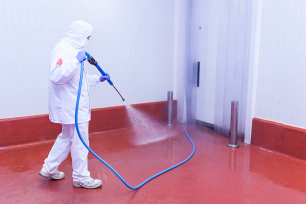 Best Pool Deck Cleaning  in Santa Nella, CA